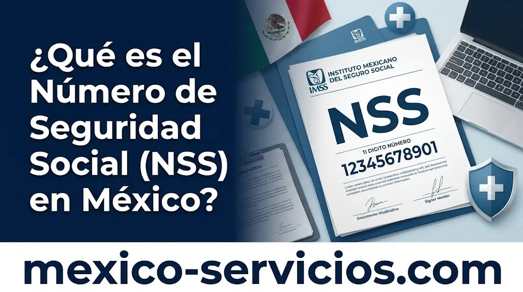 ¿Qué es el Número de Seguridad Social (NSS) en México?